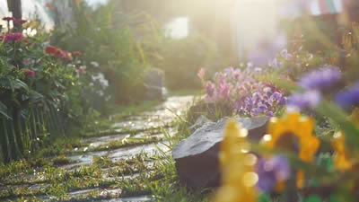 Foto de Jardín con Flores