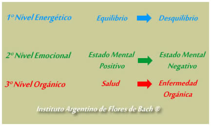 Gráfico: Las Flores de Bach actúan en el desequilibrio de la energía