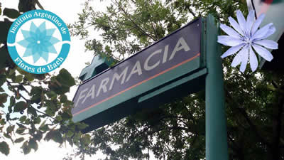 Foto de Farmacia y Flores